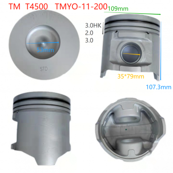 TM/T4500 TMYO-11-200