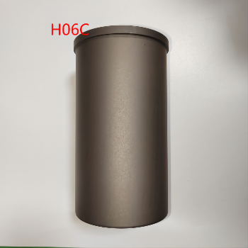 H06C
