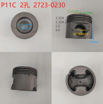 P11C 2holes  2723-0230 Nitriding