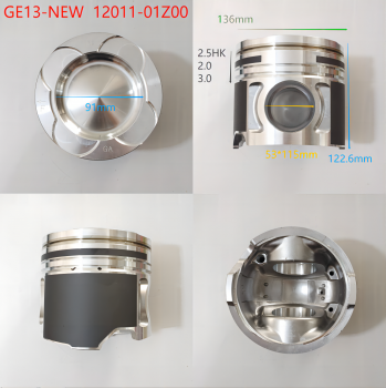 GE13-NEW  12011-01Z00