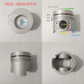 FD35T 12010-01T13