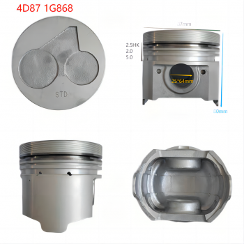 4D87 1G868 2.5MM