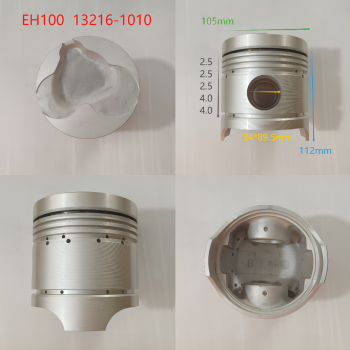 EH100 13216-1010