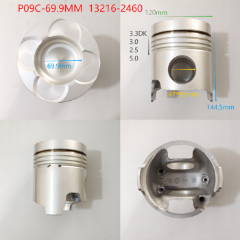 P09C-69.9mm 13216-2460